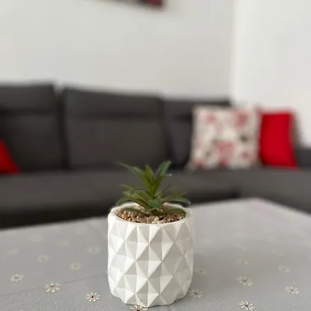 Apartment Modern And Bright 5 Bedroom Del Prado